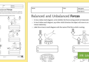 Calculating force Worksheet or New Balanced and Unbalanced forces Homework Activity Sheet
