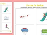 Calculating force Worksheet with Labelling forces Worksheet forces forces Worksheet forces