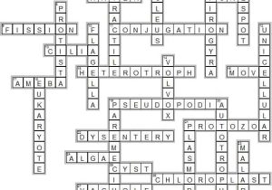Cancer Out Of Control Cells Worksheet Answer Key and Protist Crossword