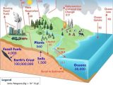 Carbon Cycle Worksheet Along with Carbon Cycle Diagram Stem Pinterest