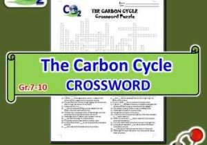 Carbon Cycle Worksheet Answer Key Along with 15 Best Cc Cycle 2 Week 4 Images On Pinterest