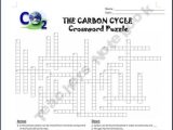 Carbon Cycle Worksheet Answer Key and 114 Best 6th Grade Plants and Ecosystems Unit Images On Pinterest