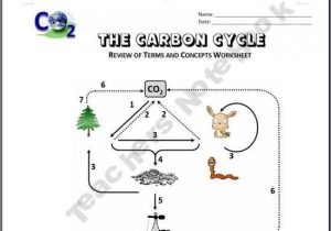 Carbon Cycle Worksheet Answer Key together with the Carbon Cycle Review Worksheets 6th Grade Science