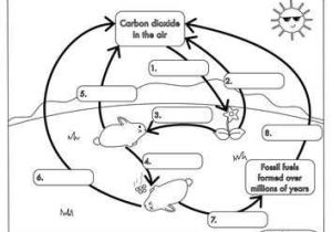 Carbon Cycle Worksheet Answers Along with Carbon Cycle Worksheet Fill In the Blanks Awesome Cellular