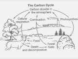 Carbon Cycle Worksheet Answers Along with the Carbon Cycle Worksheet Answers Worksheet Math for Kids