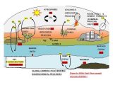 Carbon Cycle Worksheet Answers Also 20 Luxury Carbon Cycle Worksheet Gcse Wdscreative