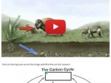 Carbon Cycle Worksheet Answers and Wizer Me Blended Worksheet "the Carbon Cycle"