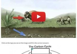 Carbon Cycle Worksheet Answers and Wizer Me Blended Worksheet "the Carbon Cycle"
