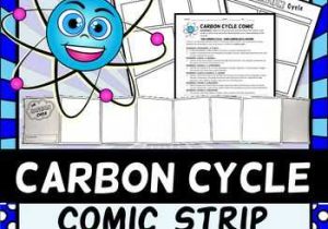 Carbon Cycle Worksheet or Carbon Cycle Ic Strip Project