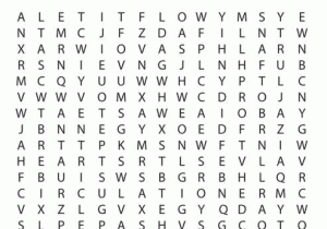 Cardiovascular System Worksheet Answers with Word Search Heart & Circulatory System