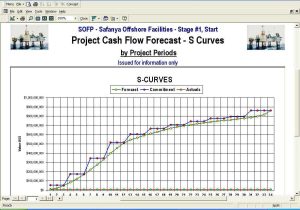 Cash Flow Worksheet and Project Cash Flow Report
