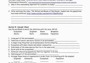 Cause and Effect Worksheets 2nd Grade together with Cause and Effect Worksheets 4th Grade Worksheet Math for Kids