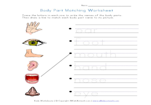 Cbt therapy Worksheets Also Free Printable Body Parts Matching Worksheet Goodsnyc