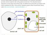 Cell Activity Worksheet and 37 Best Science Biology Images On Pinterest