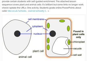 Cell Activity Worksheet and 37 Best Science Biology Images On Pinterest
