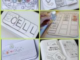 Cell Activity Worksheet or 107 Best Cells Images On Pinterest