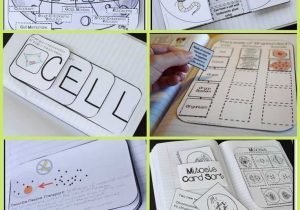Cell Activity Worksheet or 107 Best Cells Images On Pinterest