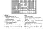 Cell Concept Map Worksheet Answers Also Differentiated Synthesis Reading Passage Crossword Puzzle