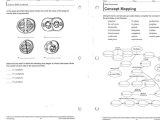 Cell Cycle and Cancer Worksheet Answers and the Cell Cycle Worksheet Answers Awesome Cancer Out Control Cells