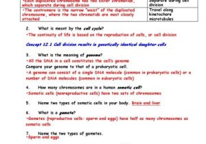 Cell Cycle and Cancer Worksheet Answers and Worksheets 42 Re Mendations the Cell Cycle Worksheet Hi Res