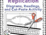 Cell Cycle and Dna Replication Practice Worksheet Key together with Dna Replication Practice Worksheet Worksheet Math for Kids