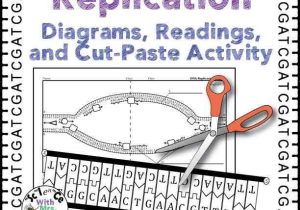 Cell Cycle and Dna Replication Practice Worksheet Key together with Dna Replication Practice Worksheet Worksheet Math for Kids