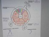 Cell Cycle and Mitosis Worksheet Answer Key as Well as 110 Best Cells Mitosis Images On Pinterest