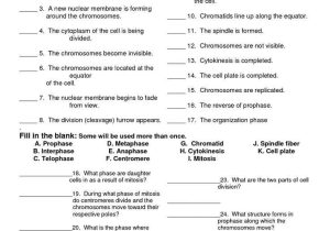 Cell Cycle and Mitosis Worksheet Answer Key as Well as 183 Best Genetics Images On Pinterest