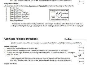Cell Cycle and Mitosis Worksheet Answers with 1096 Best Biology Class Images On Pinterest