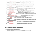 Cell Cycle and Mitosis Worksheet Answers with Inspirational the Cell Cycle Worksheet Fresh Cell Cycle Worksheet