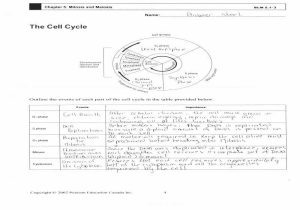 Cell Cycle Practice Worksheet or Pearson Education Worksheet Answers Luxury the Cell Cycle Worksheet