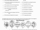 Cell Cycle Vocabulary Worksheet Answer Key Also 23 Best Teaching Biology Images On Pinterest