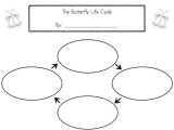Cell Cycle Worksheet Answers and 28 Of Life Cycle Blank Template Dot Stand