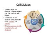 Cell Division and Mitosis Worksheet Answer Key Also Biology Cell Transport and Cell Cycle 12 06 12 Thursday