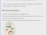 Cell Division and Mitosis Worksheet Answer Key or Cell Cycle Worksheet Answer Key Gallery Worksheet Math for Kids