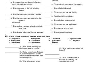 Cell Division and Mitosis Worksheet Answer Key or the Cell Cycle Worksheet Fresh 73 Best Biology Cell Division