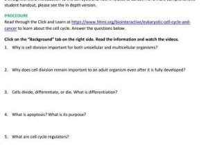 Cell Division Worksheet Answers or the Cell Cycle Coloring Worksheet Answers Fresh Cell Division and