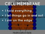 Cell Membrane &amp; tonicity Worksheet as Well as 3 Bannerclaire Insidecells Haikudeck by Anne Stenton