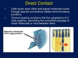 Cell Membrane and tonicity Worksheet Also Direct Contact Bing Images