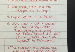Cell Membrane and Transport Worksheet Answers Also Up Ing Cell Membrane Coloring Worksheet Answers Tips totaltravel Us