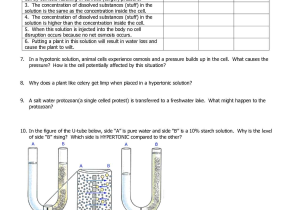 Cell Membrane and Transport Worksheet Answers with 32 tonicity and Osmosis Worksheet Cell Membrane and tonicity