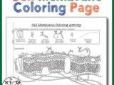 Cell Membrane Coloring Worksheet Along with Worksheets 49 Beautiful Cell Membrane Coloring Worksheet Answers