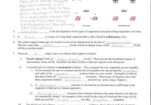 Cell Membrane Coloring Worksheet Also Beautiful Cell Membrane Coloring Worksheet Answers Beautiful Cell