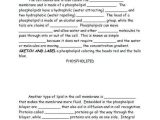 Cell Membrane Coloring Worksheet Answer Key with 1 with Cell Membrane Coloring Worksheet Coloring Pages