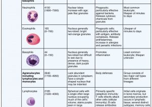 Cell Membrane Structure and Function Worksheet with 18 3 Erythrocytes – Anatomy and Physiology