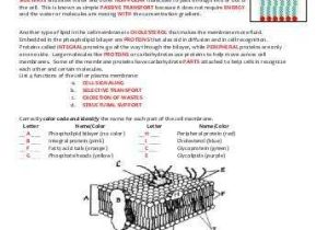 Cell Membrane Worksheet Answers or Cell Membrane and tonicity Worksheet Worksheets for All