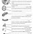 Cell Membrane Worksheet or 17 Best Science Class Ideas Images On Pinterest