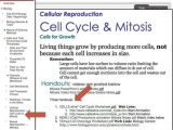 Cell Membrane Worksheet Pdf together with Biology Worksheets Pdf