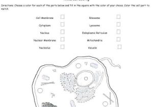 Cell Membrane Worksheet Pdf with Cell Membrane Diagram Worksheet Awesome Cell Coloring Pages Cell