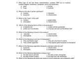 Cell Membrane Worksheet Pdf with Worksheets 48 New Cell Structure and Function Worksheet High